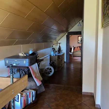 Dom Pod Debem Tatil Evi